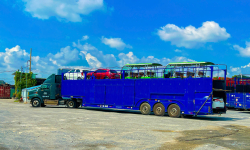 vận chuyển ô tô